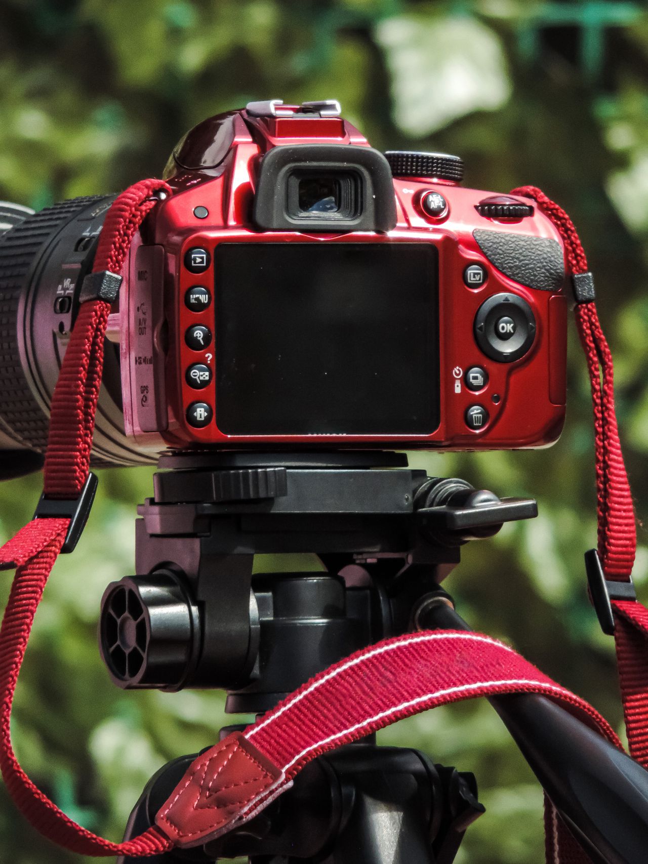 Sony Alpha A9 Review - Verdict