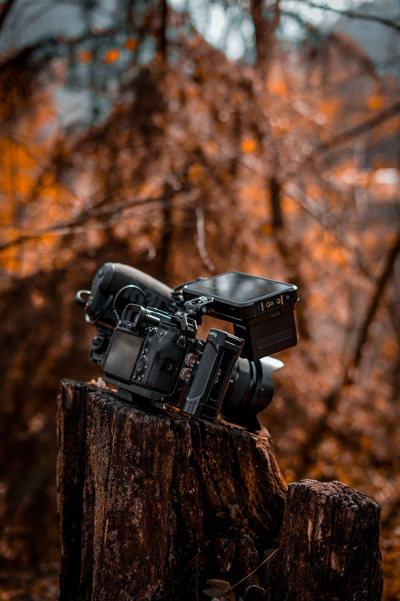 Hasselblad XCD 75mm f/3.4 P Review